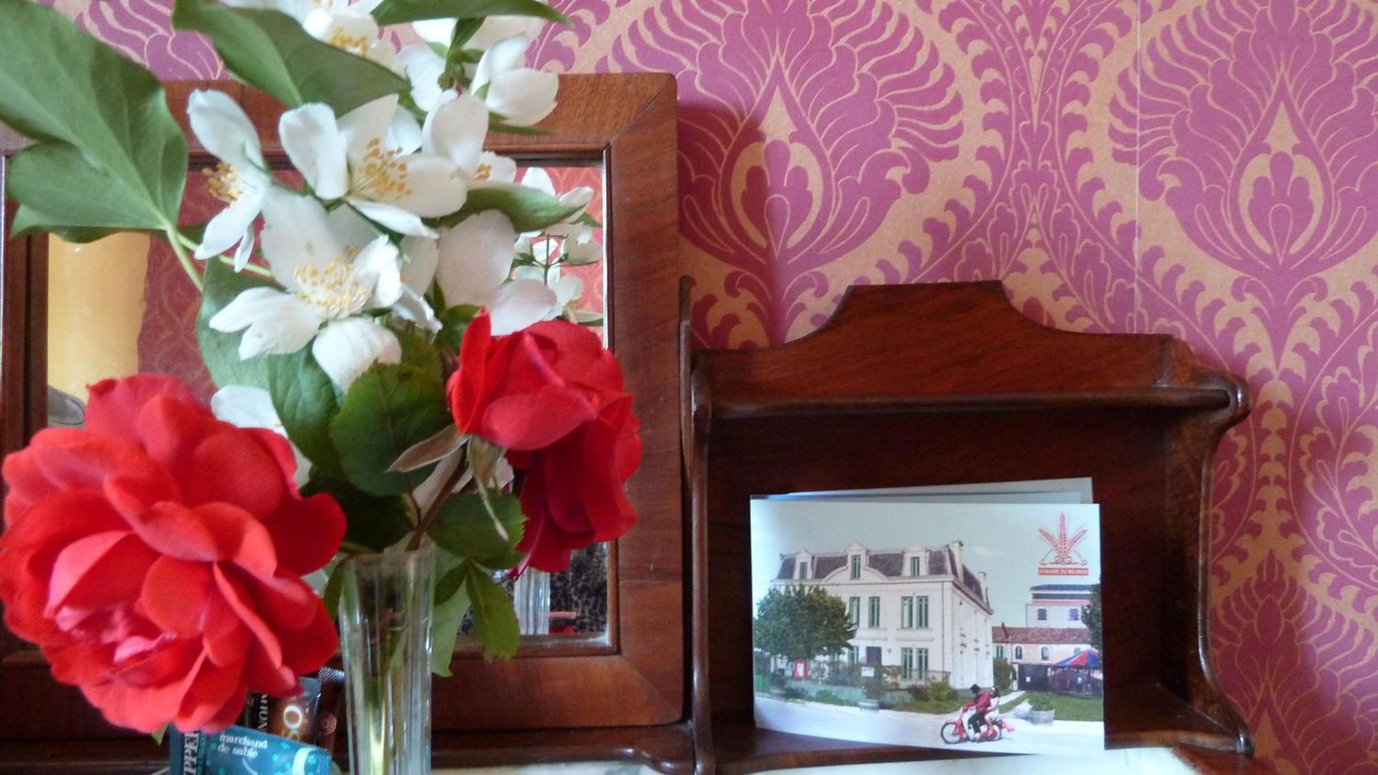 Hotel Le Domaine Du Meunier Mortagne-sur-Gironde Pokoj fotografie